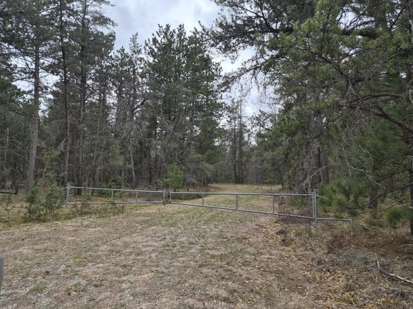 80 AC Willows Road, Roscommon, MI 48653