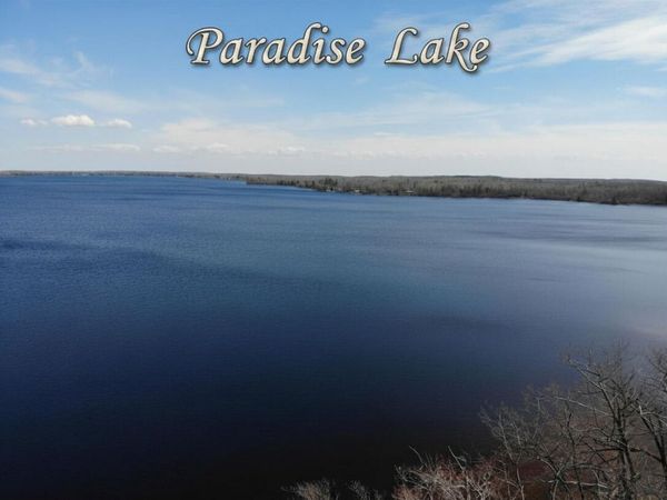 6398 Paradise Trail, Carp Lake, MI 49718