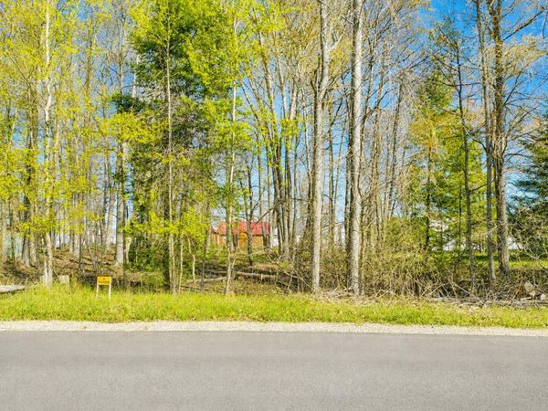 Lot 2 Chippewa Trail, Prudenville, MI 48651
