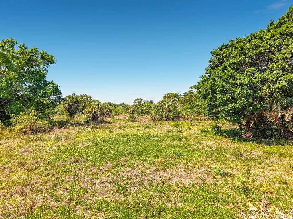 Lake Trafford Rd , Immokalee, FL 34142 Photo