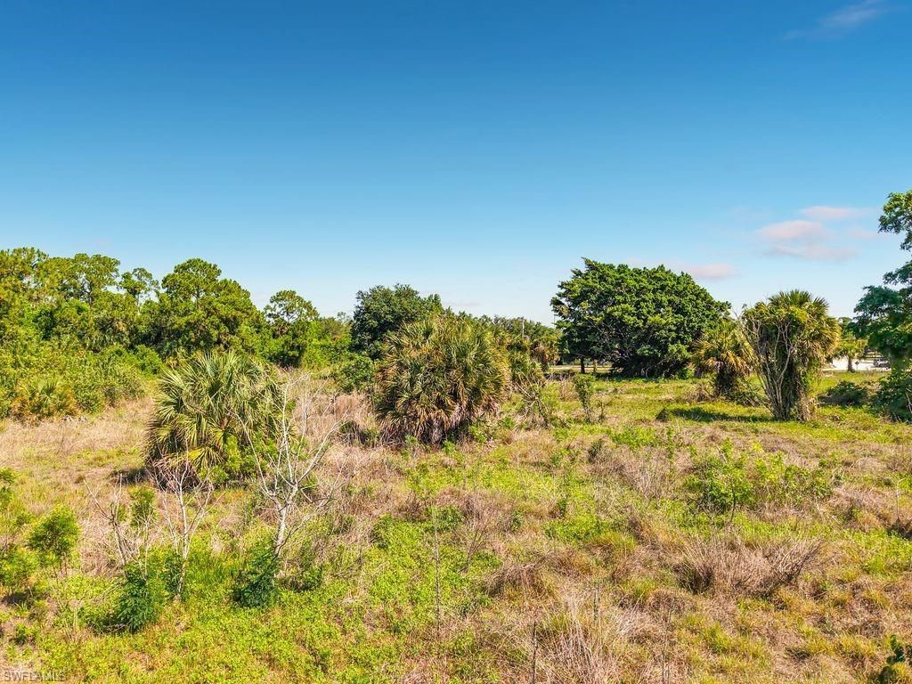 Lake Trafford Rd , Immokalee, FL 34142 Photo
