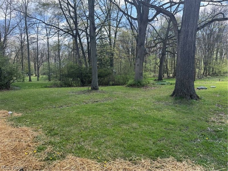 1618 W Park Avenue, Weathersfield, OH 44446 Photo 2