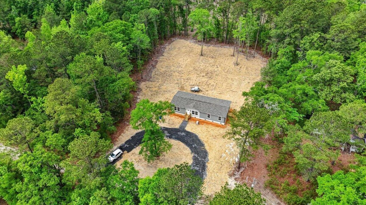 293 Branch Hollow Drive Photo 4