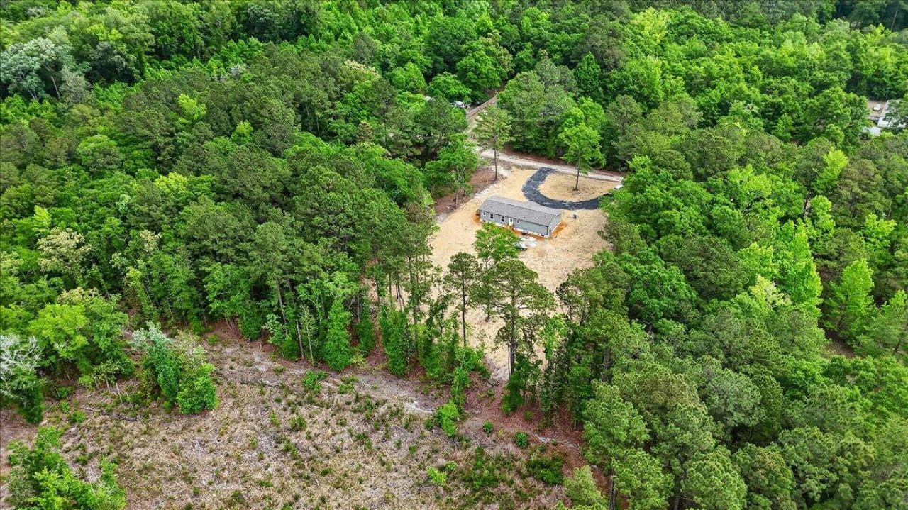 293 Branch Hollow Drive Photo 43