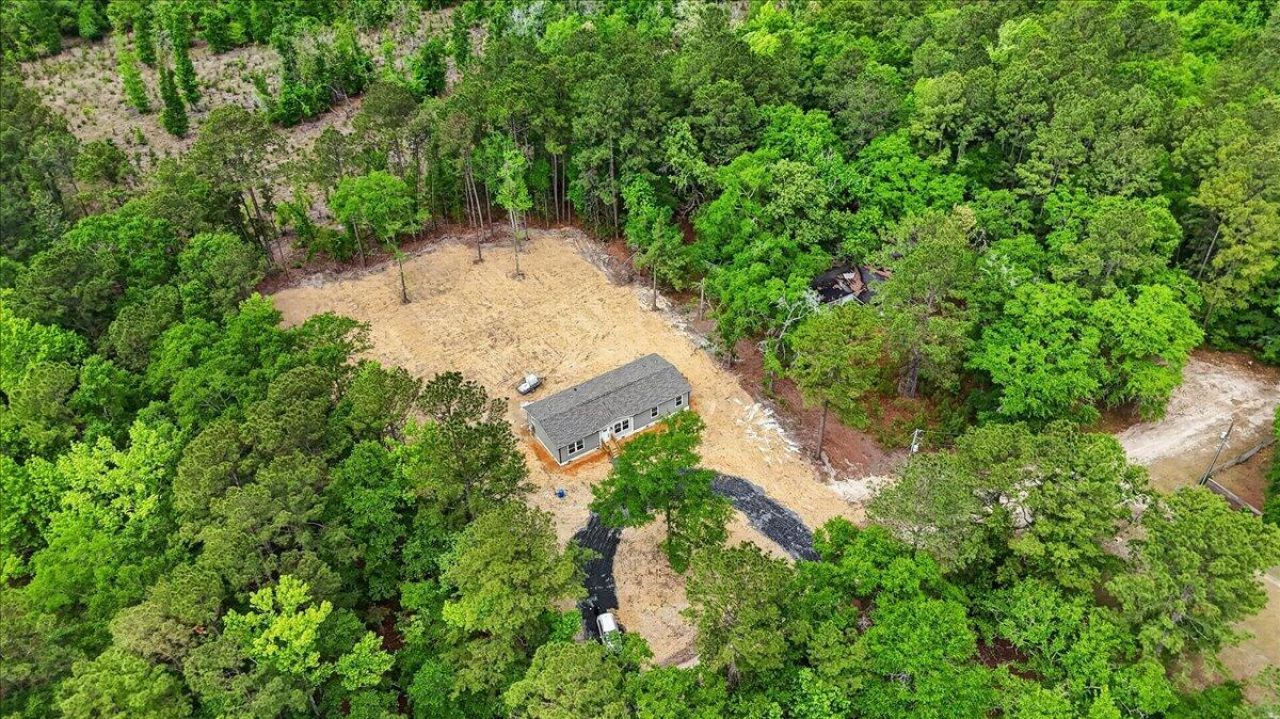 293 Branch Hollow Drive Photo 44
