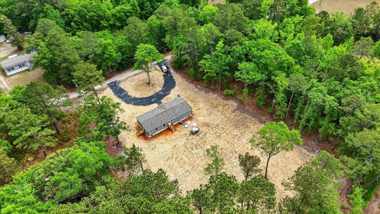 293 Branch Hollow Drive Photo 46