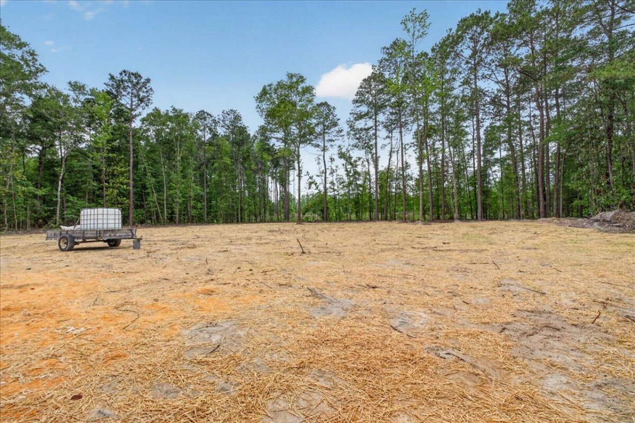 293 Branch Hollow Drive Photo 7