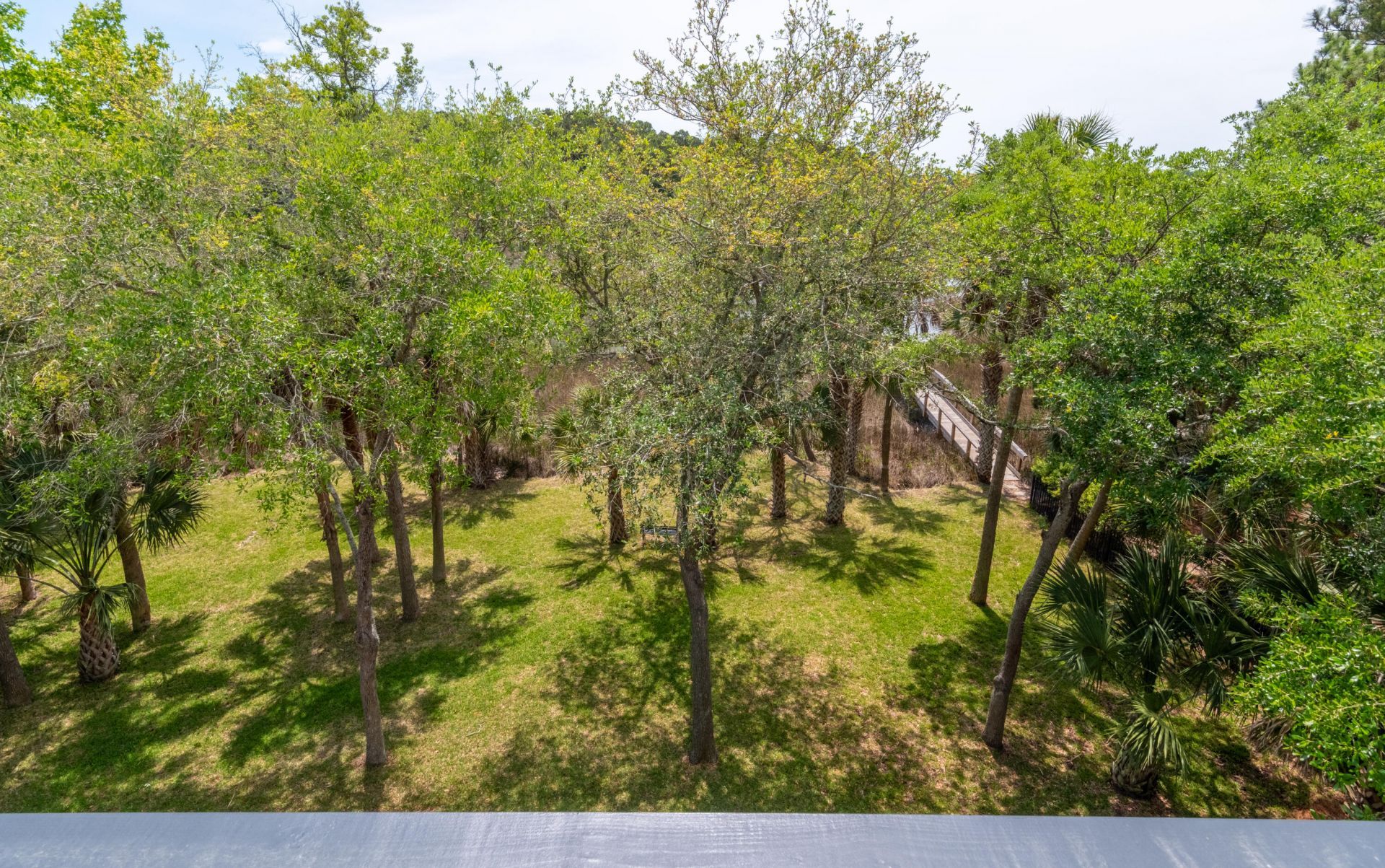 2324 Darts Cove Way Photo 10