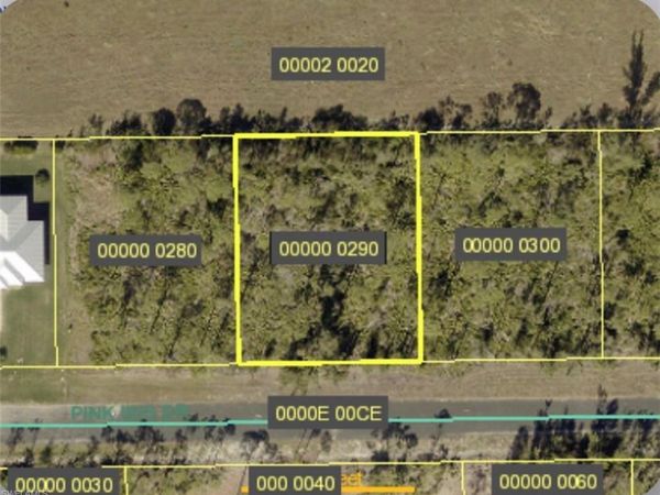 3580 Pink Ibis DR , OTHER, FL 33956