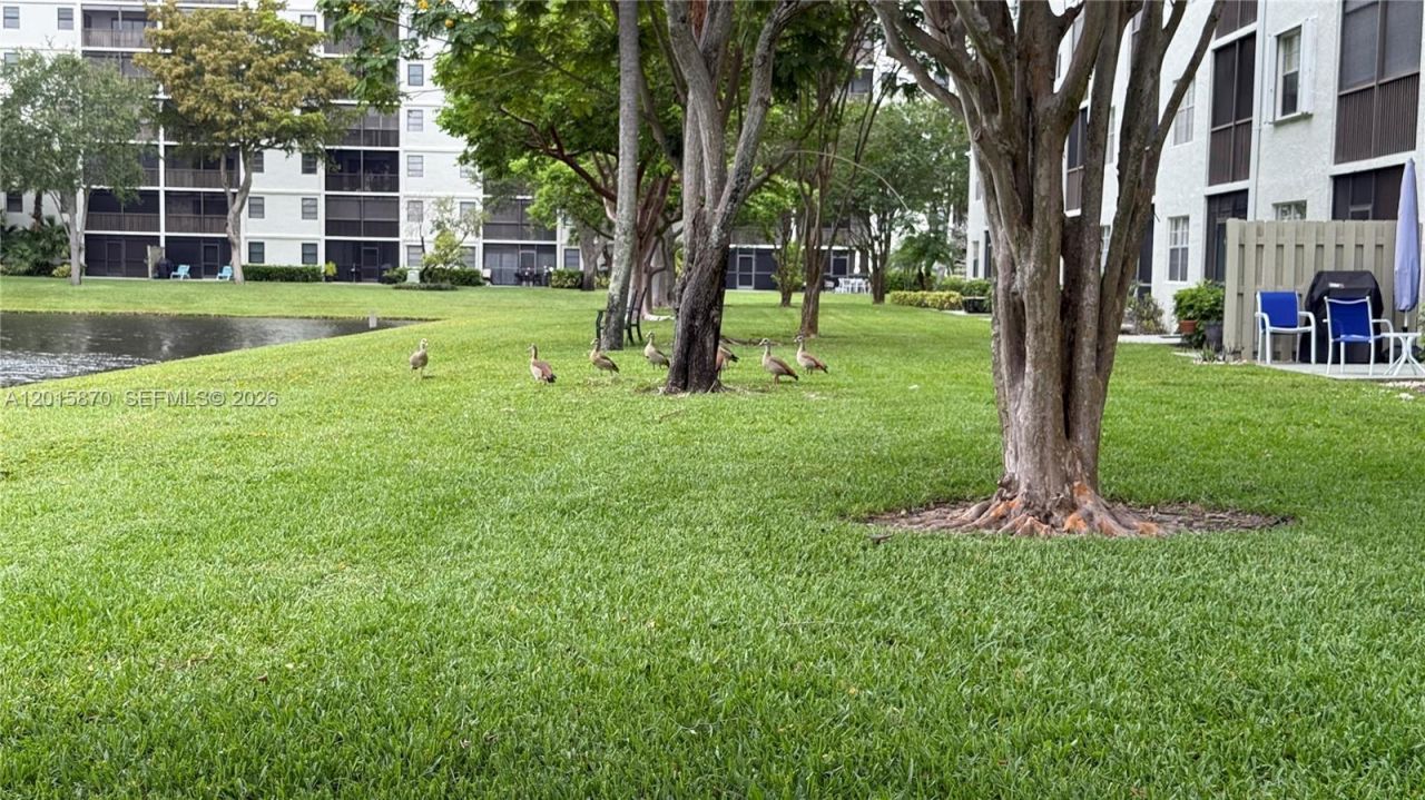 2236 N Cypress Bend Dr, Unit 207, Pompano Beach, FL 33069 Photo
