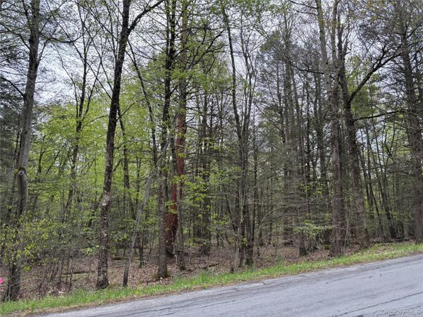Braden Road , Mountain Dale, NY 12763
