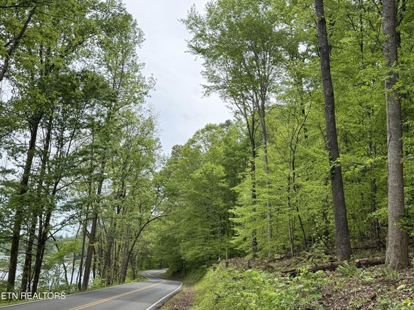 lots A&B Alder Springs Rd, LaFollette, TN 37766