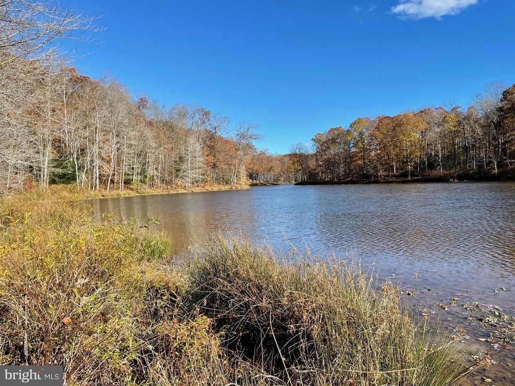Lot 3 And 4 Piney Branch Road , Spotsylvania, VA 22553 Main Photo
