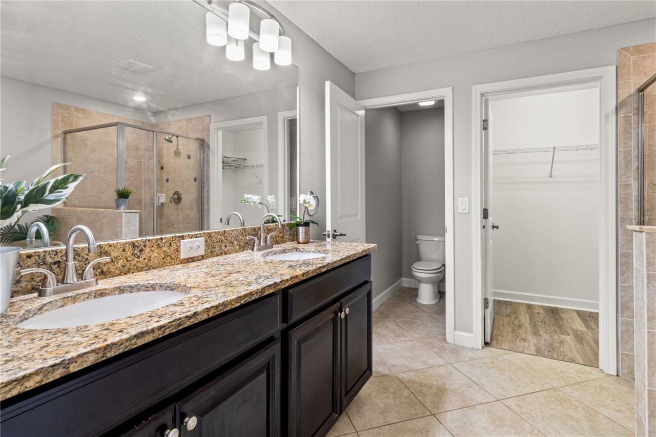 3281 Gentle Dell, Wesley Chapel, FL 33543 Photo