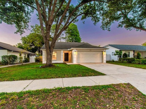 4840 E 99TH AVENUE , TAMPA, FL 33617