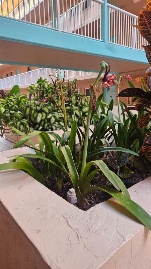 6801 Harding Ave , Unit 217, Miami Beach, FL 33141 Photo