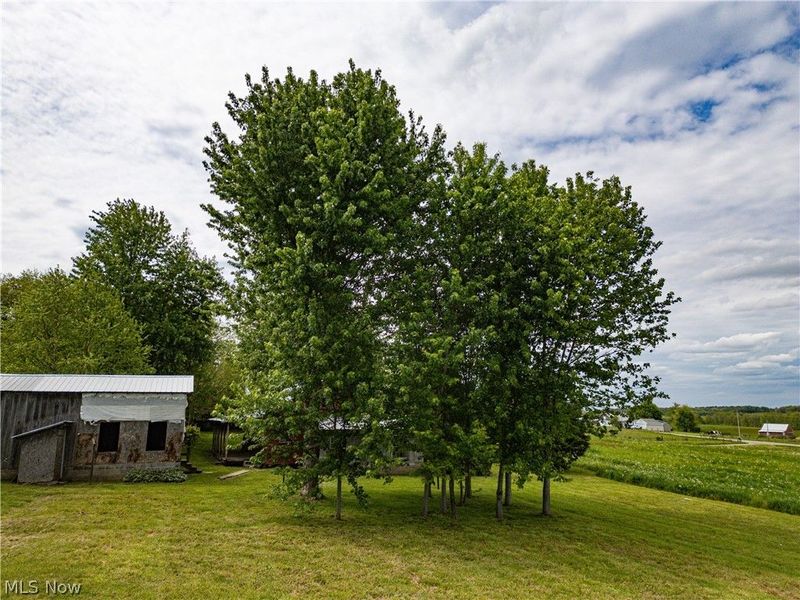 12967 Pleasant Valley Road, Utica, OH 43080 Photo 18