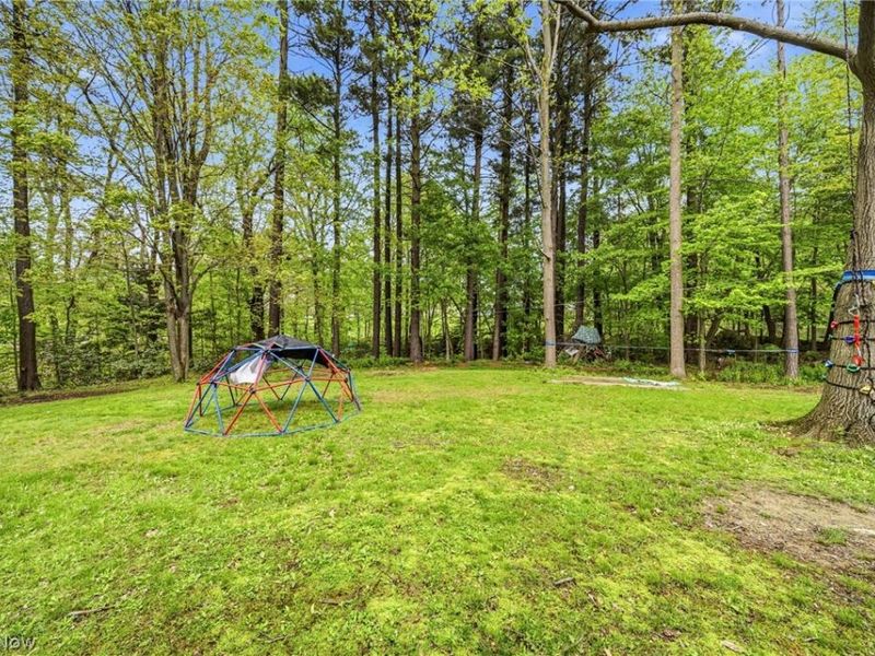 6453 Old Woods Road, Ashtabula, OH 44004 Photo 38