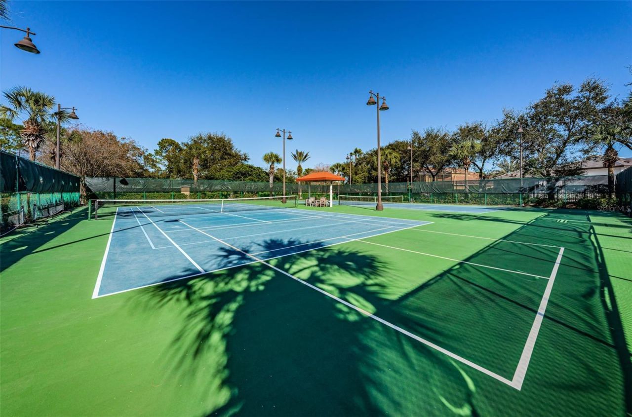 10031 Milano Drive, Trinity, FL 34655 Photo