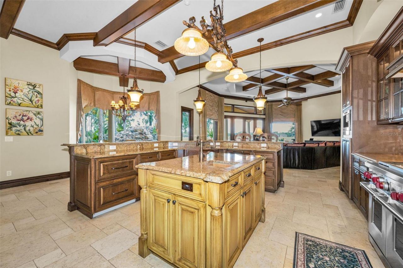 10031 Milano Drive, Trinity, FL 34655 Photo