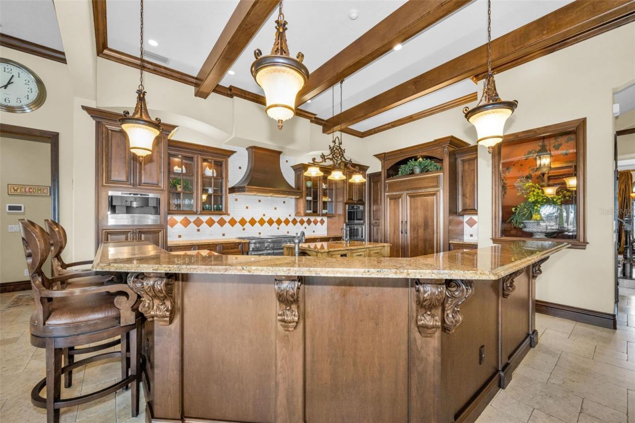 10031 Milano Drive, Trinity, FL 34655 Photo