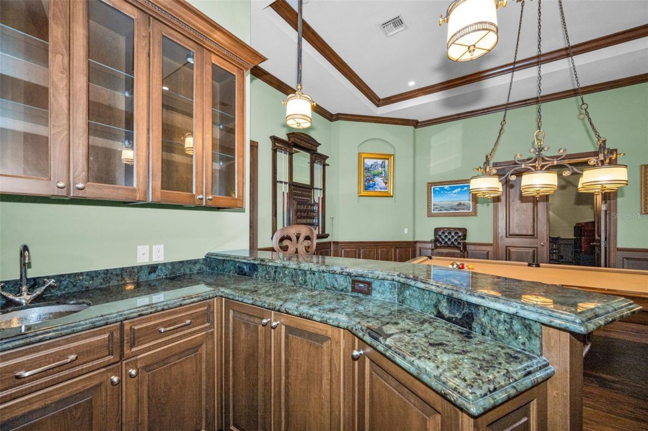 10031 Milano Drive, Trinity, FL 34655 Photo