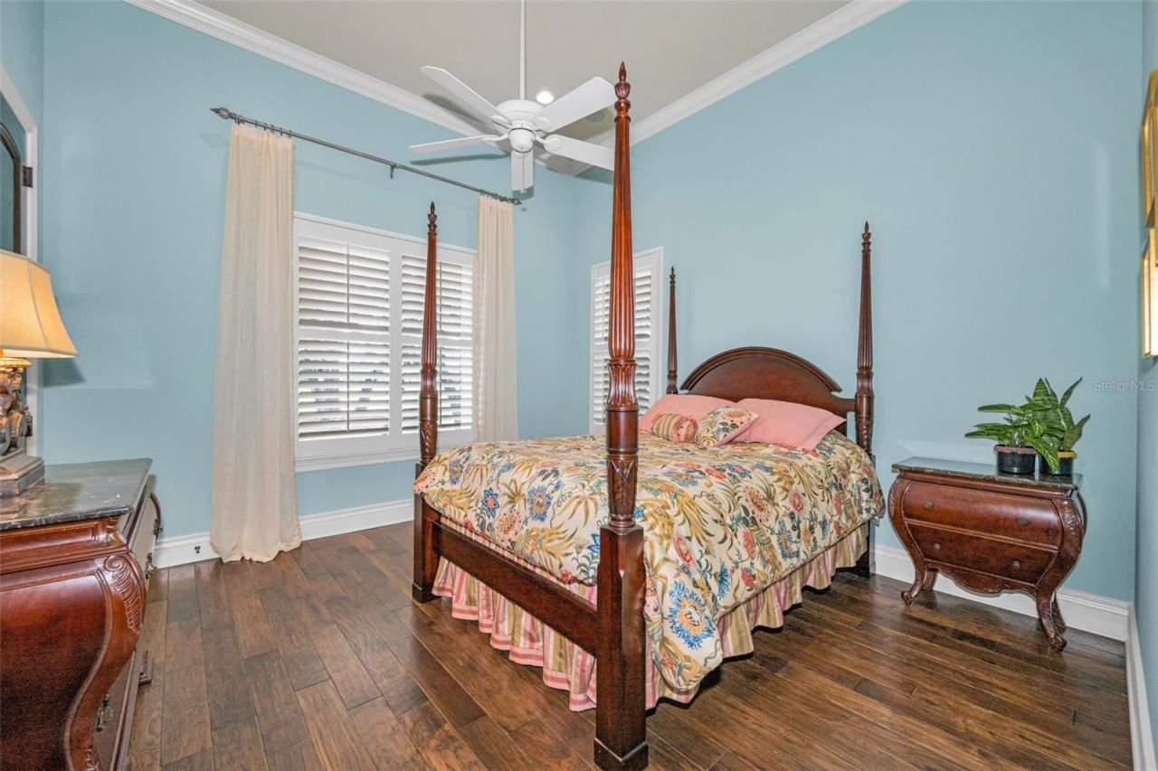 10031 Milano Drive, Trinity, FL 34655 Photo