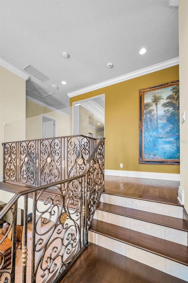 10031 Milano Drive, Trinity, FL 34655 Photo