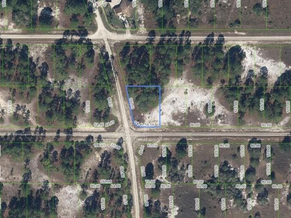 300 MOON RIVER AVENUE , LAKE PLACID, FL 33852