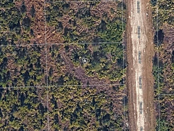 13237 BISSELL DRIVE , PUNTA GORDA, FL 33955