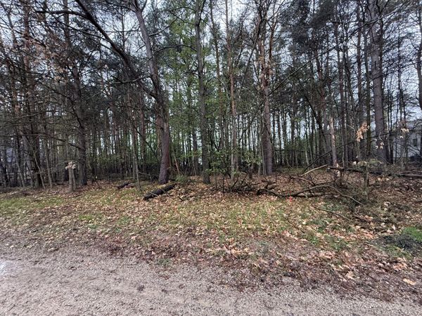 7745 Lakeview Drive, Stanwood, MI 49346