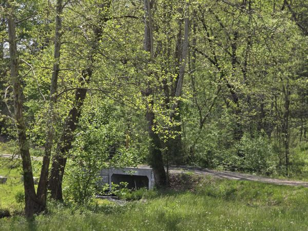 833 Duck Creek Road, Sneedville, TN 37869
