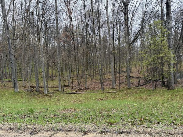 8196 Pine Tree Trail, Stanwood, MI 49346
