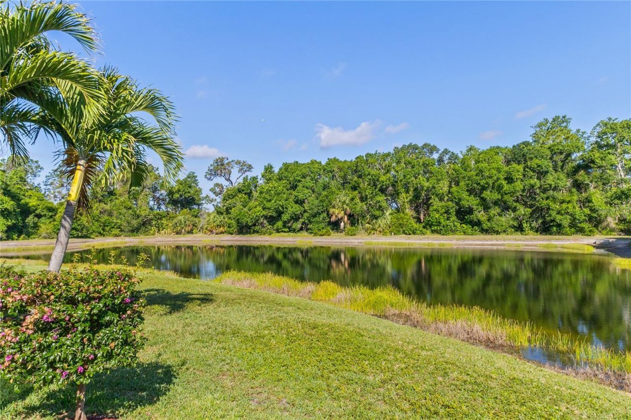 10921 Bluestem Circle, Lakewood Ranch, FL 34202 Photo
