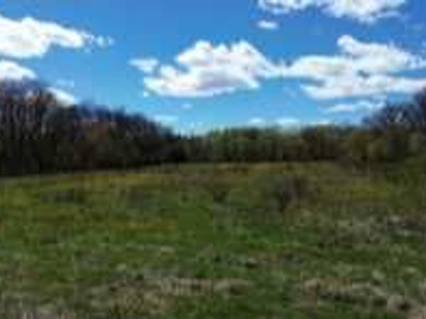 140th Av 140th Avenue , Foreston, MN 56330