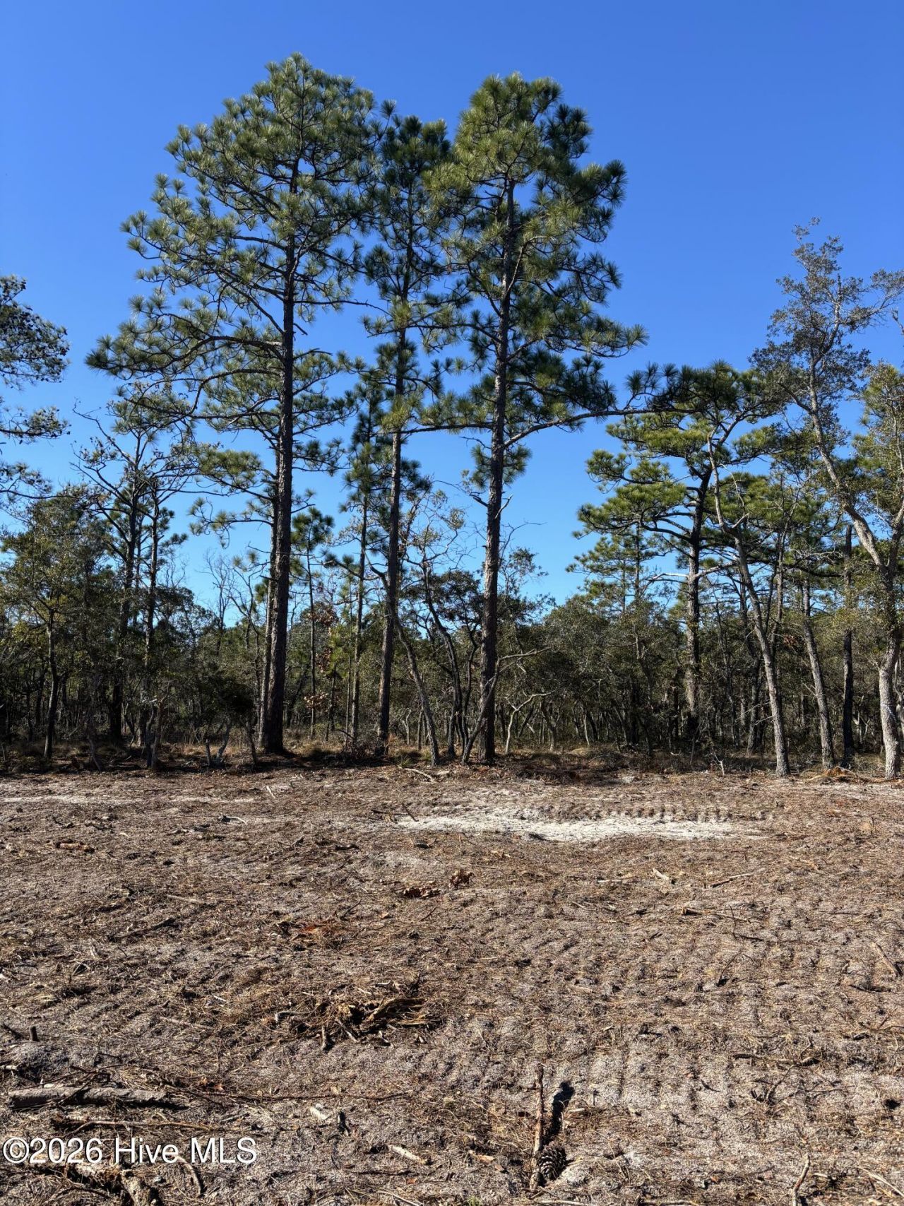 Lot 124 Coral Gull Street, Southport, NC 00000 Main Photo