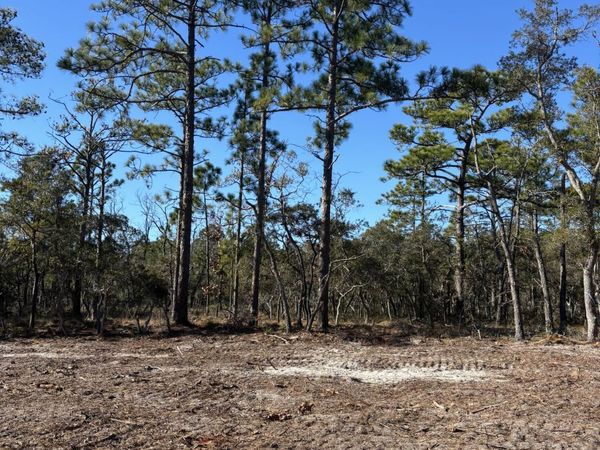 Lot 124 Coral Gull Street, Southport, NC 00000