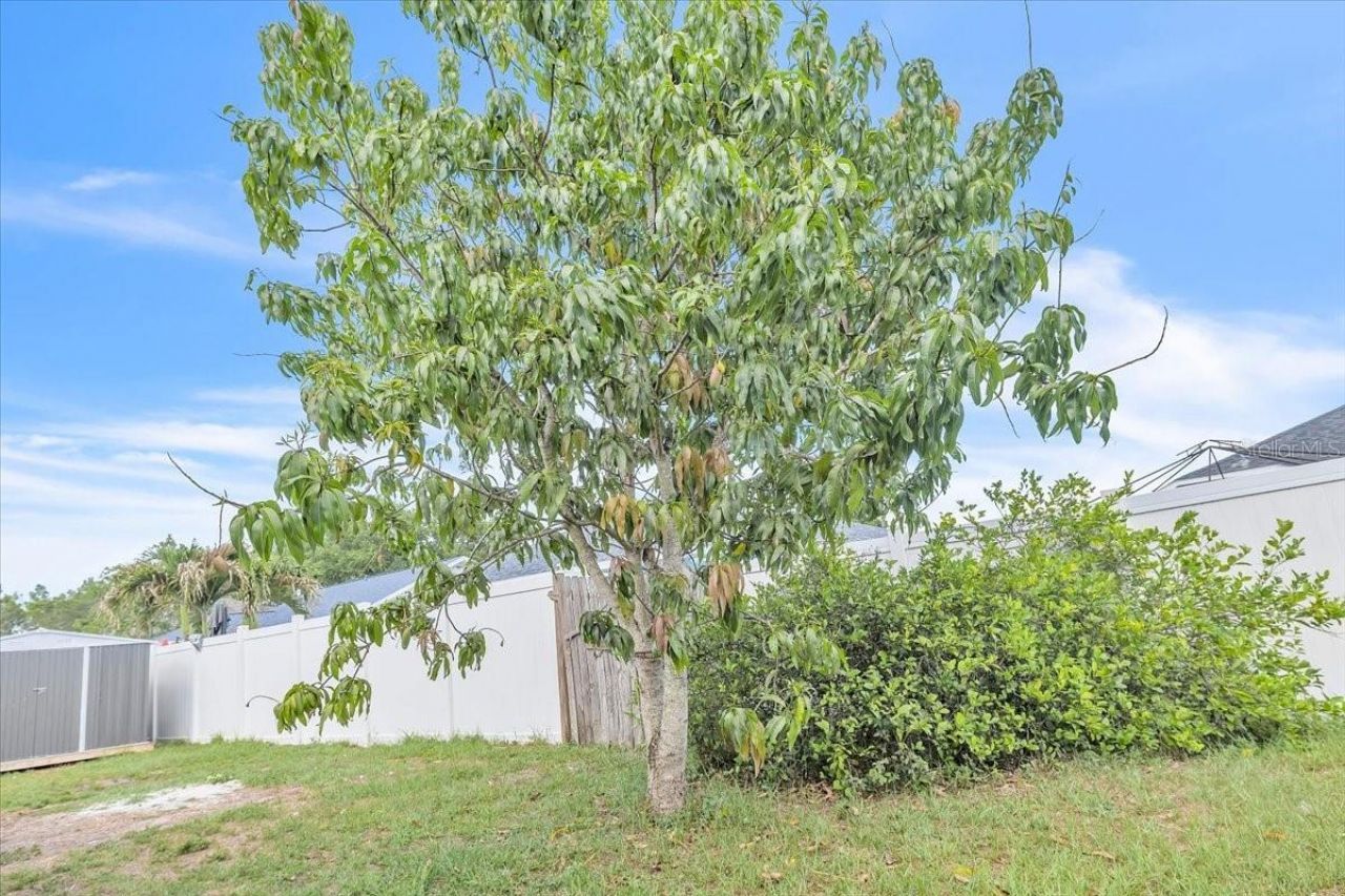 5001 22nd Court E, Bradenton, FL 34203 Photo