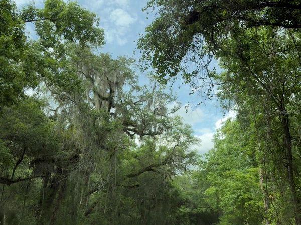 COUNTY ROAD 707 , WEBSTER, FL 33597