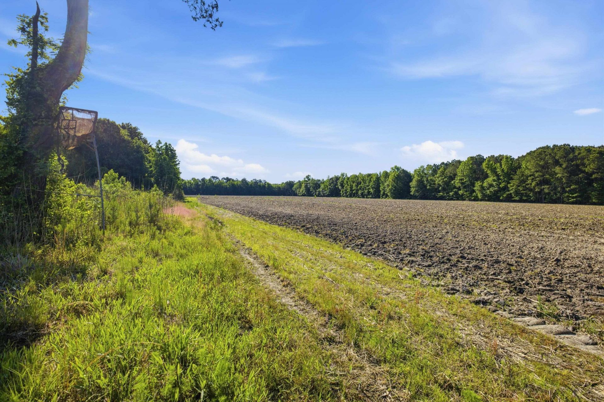 9475 Lake Swamp Rd.  Photo 10