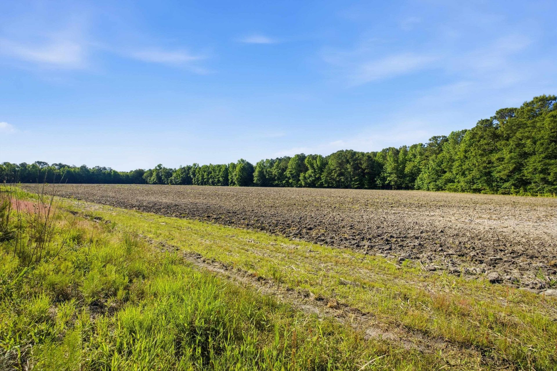 9475 Lake Swamp Rd.  Photo 11