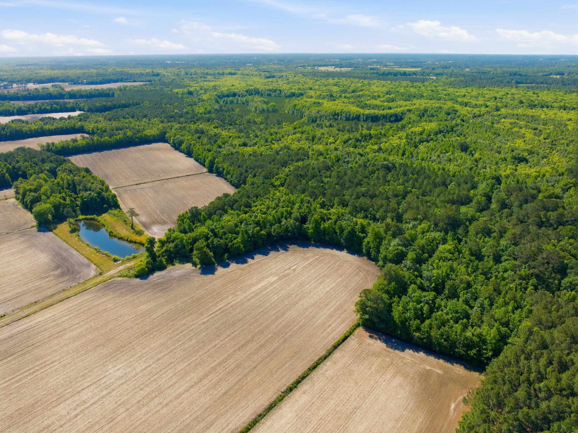 9475 Lake Swamp Rd.  Photo 17