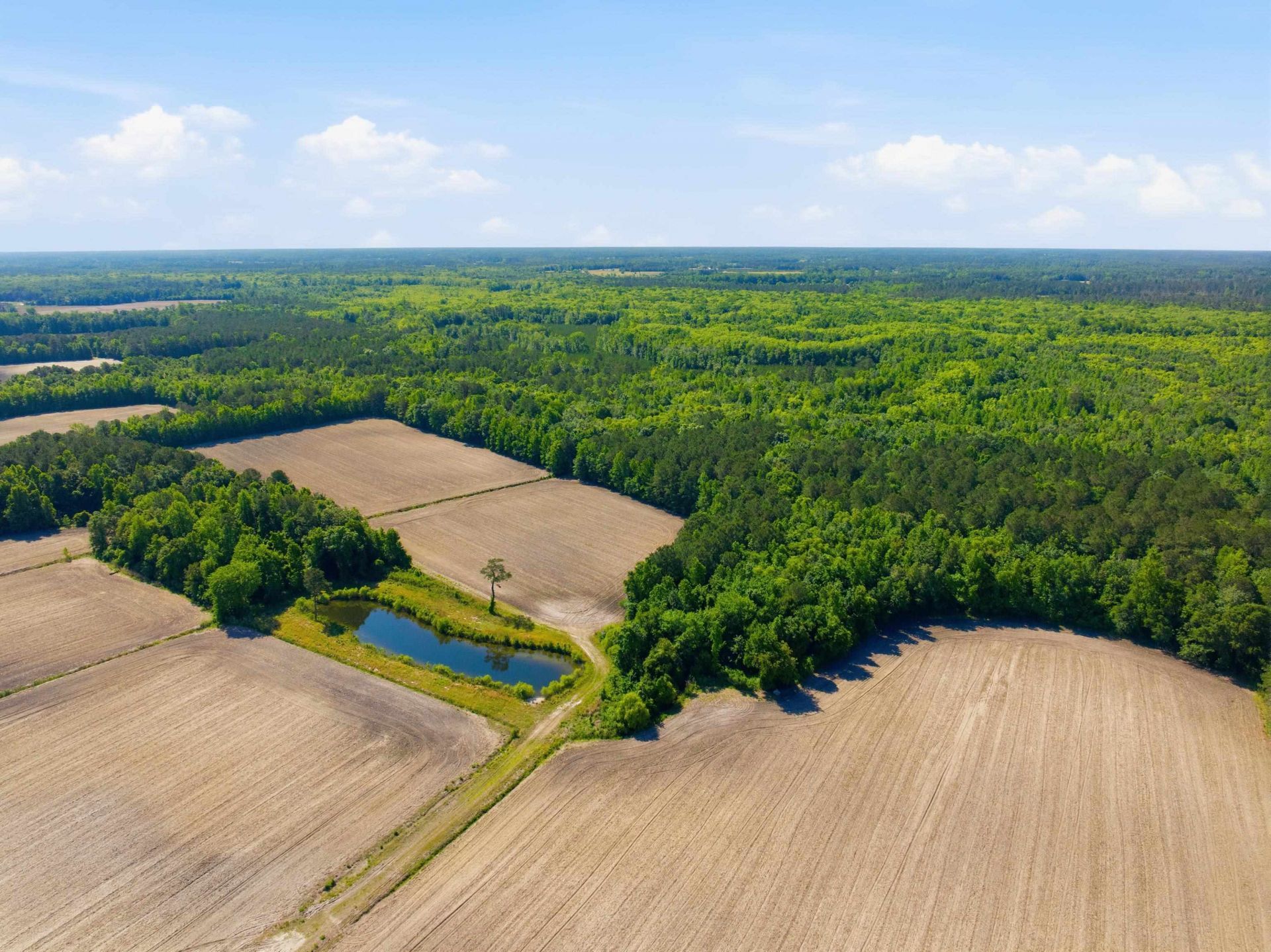 9475 Lake Swamp Rd.  Photo 18