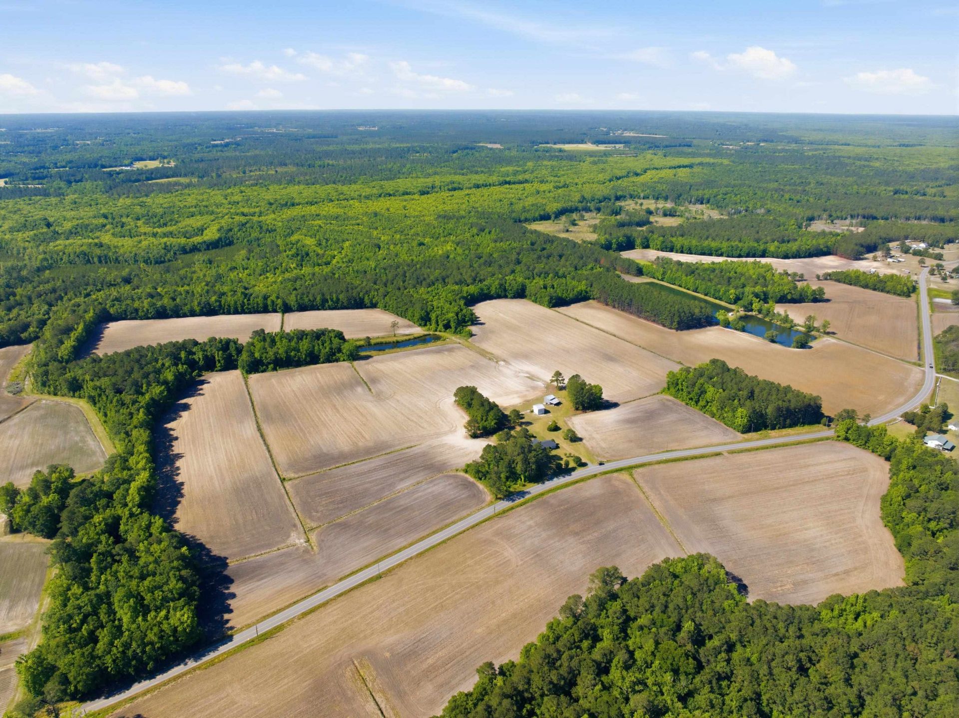 9475 Lake Swamp Rd.  Photo 19