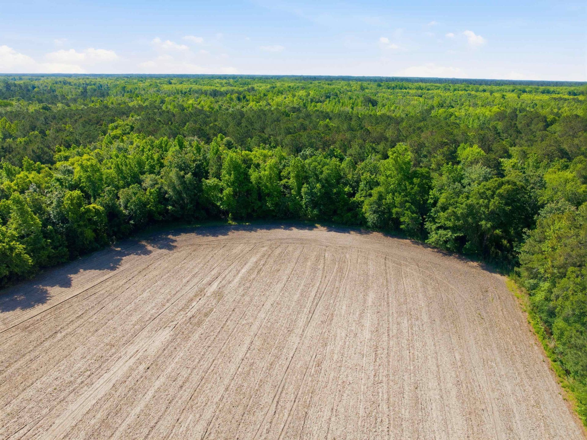 9475 Lake Swamp Rd.  Photo 22