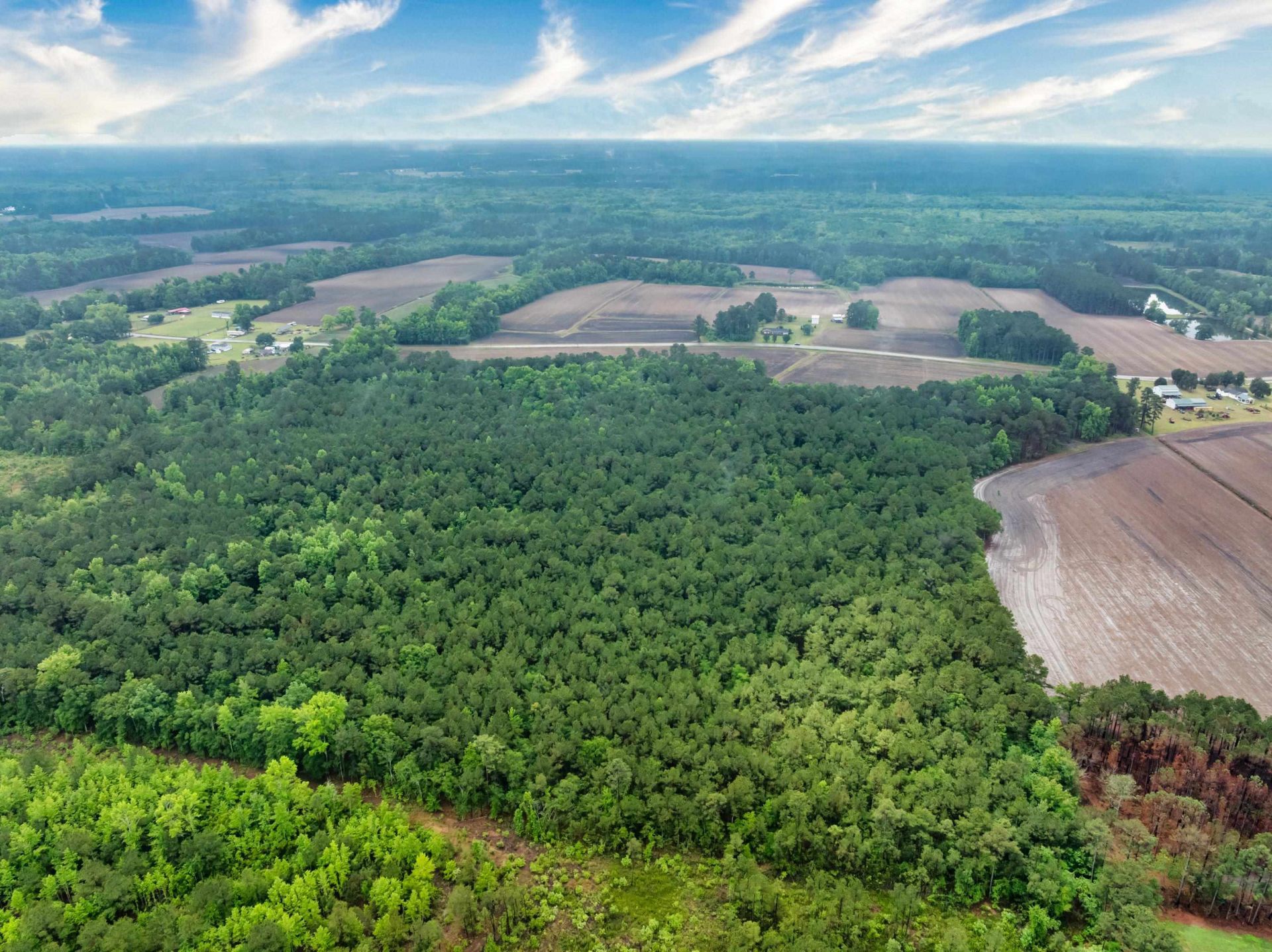 9475 Lake Swamp Rd.  Photo 26