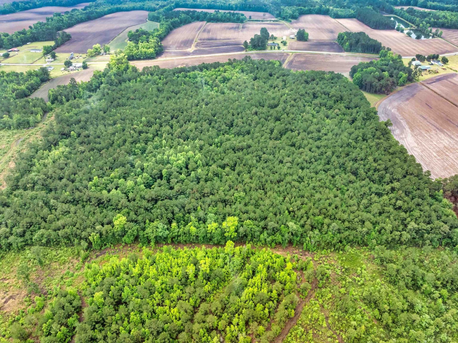 9475 Lake Swamp Rd.  Photo 27