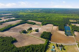 9475 Lake Swamp Rd.  photo 4
