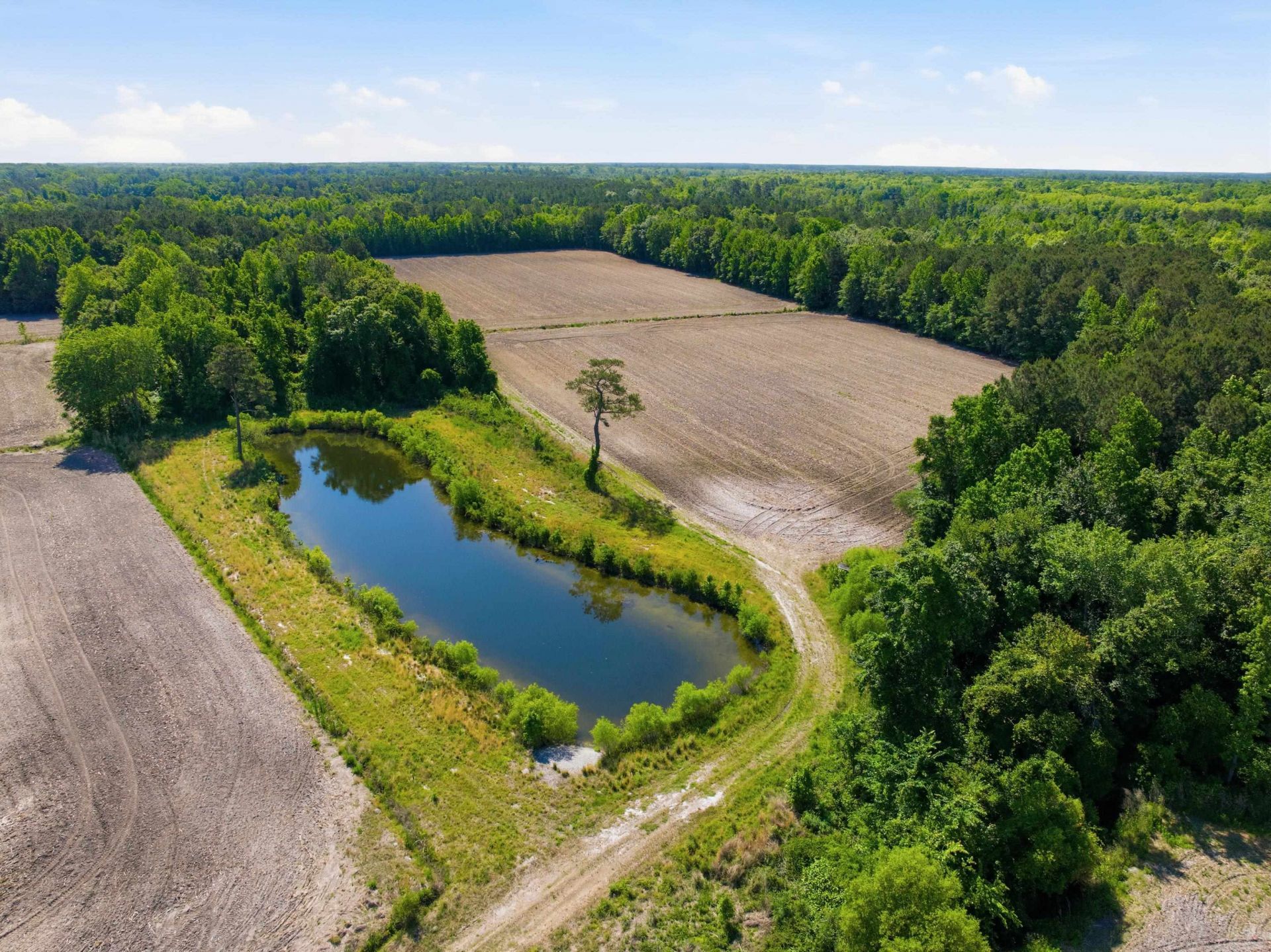 9475 Lake Swamp Rd.  Photo 8