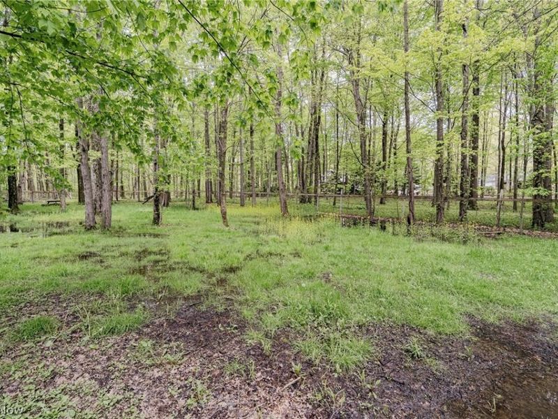 7814 Poorman Road, Vermilion, OH 44089 Photo 32